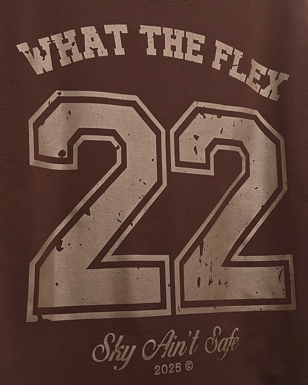 Skyfall Brown Boxy Fit T-Shirt